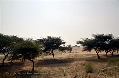02 PKW-Reise_Mandawa-Bikaner_DSC2655_b_H600